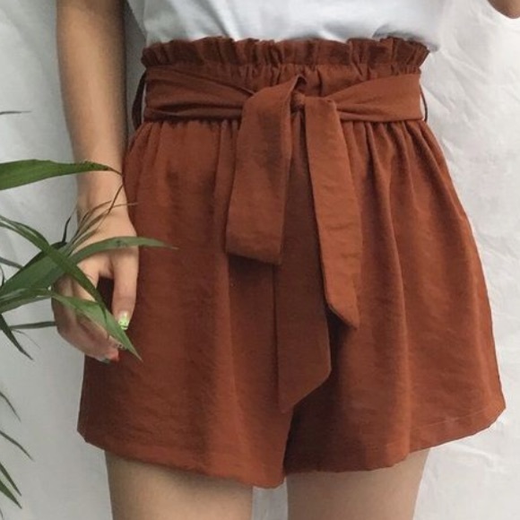 NWOT Paperbag Shorts - Picture 2 of 3